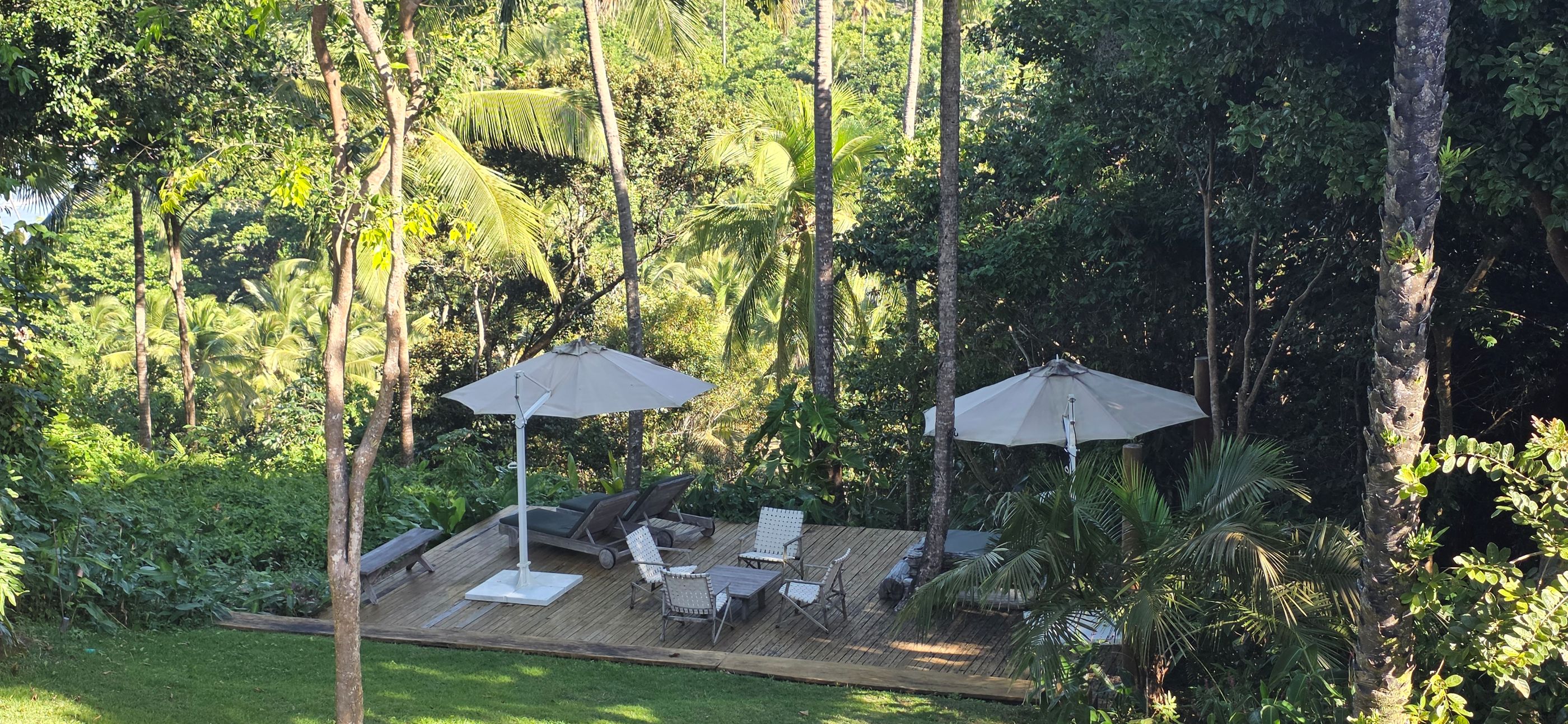 20260608_150248.jpg